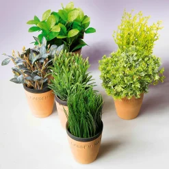 Menthe Déco Dans Un Pot D’argile 20 Cm-DecoWoerner Online