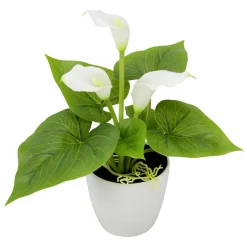 Mini Calla Artificiel En Pot 20 Cm-DecoWoerner Hot