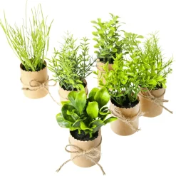 Mini Herbes En Pot 6 Pièces 15 Cm-DecoWoerner Best