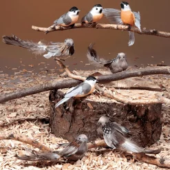 Moineau Déco 17 Cm, 6 Pces-DecoWoerner Sale