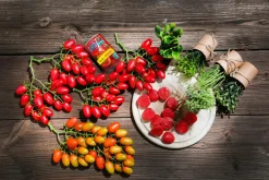 Moitié De Tomates Cerises Aliment Factice, 6 Pièces-DecoWoerner Outlet