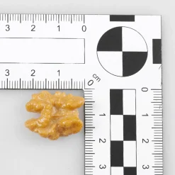 Moitiés De Noix Aliment Factice, 12 Pièces-DecoWoerner Best