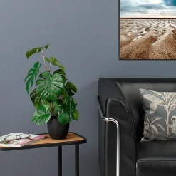 Monstera En Pot Noir-DecoWoerner New