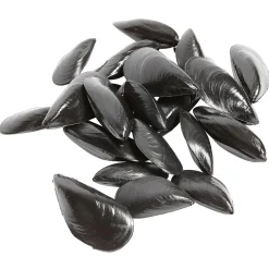 Moules Factices Pour L'alimentation, 24 Pièces-DecoWoerner Clearance