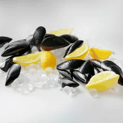Moules Factices Pour L'alimentation, 24 Pièces-DecoWoerner Clearance