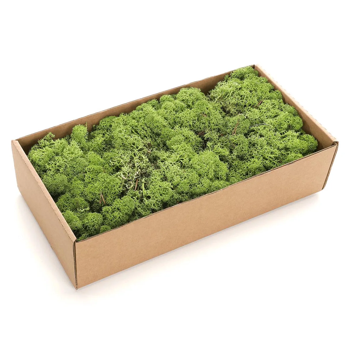 Mousse Naturelle Véritable 500 G-DecoWoerner Online