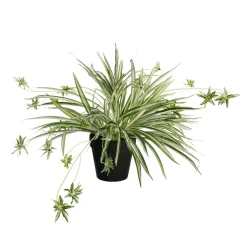 Nénuphar Artificiel En Pot 40 X 60 Cm (hxl)-DecoWoerner Outlet