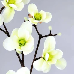 Noble Branche De Magnolia Artificielle, o Verde, 100 Cm-DecoWoerner Hot