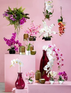 Orchidée Artificielle En Pot , 40 Cm-DecoWoerner Clearance