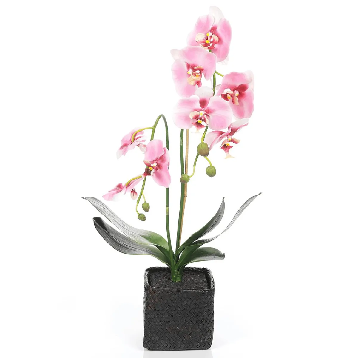 Orchidée Décorative En Pot 80 Cm-DecoWoerner Best