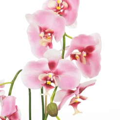 Orchidée Décorative En Pot 80 Cm-DecoWoerner Best