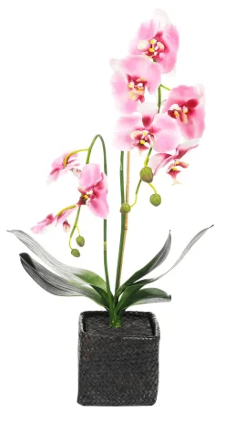 Orchidée Décorative En Pot 80 Cm-DecoWoerner Best