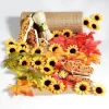 Pack Déco Économies "Décoration De Table D'automne-DecoWoerner