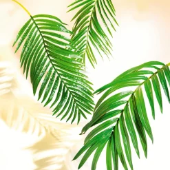 Palme De Palmier Géant Déco, Long. 180 Cm-DecoWoerner Discount