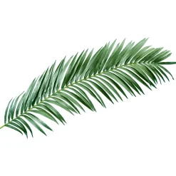 Palme De Palmier Géant Déco, 240 Cm-DecoWoerner Best