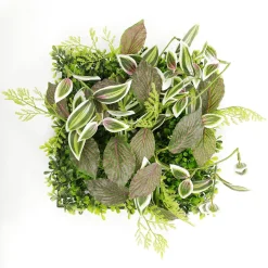 Panneau En Buisson De Fittonia Artificiel 25 X 25 Cm-DecoWoerner Online