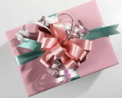 Paquet D'épargne "Rubans Cadeaux Pastel-DecoWoerner