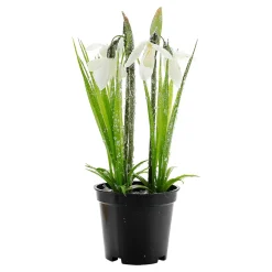 Perce-neige Fleur Artificielle En Pot, 20 Cm De Haut-DecoWoerner Online
