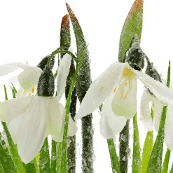 Perce-neige Fleur Artificielle En Pot, 20 Cm De Haut-DecoWoerner Online