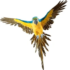 Perroquet Déco -jaune Long. 77 Cm-DecoWoerner Best