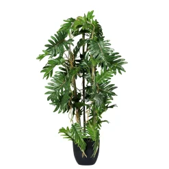 Philodendron éclaté En Pot Noir-DecoWoerner Best