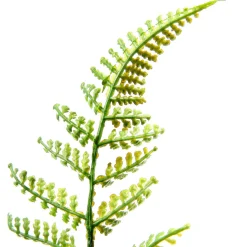 Pic De Fougère Artificielle Ø 30 Cm-DecoWoerner New