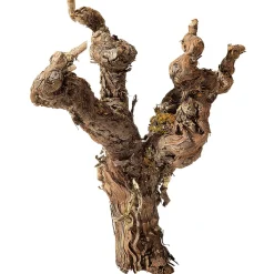 Pied De Vigne Nature-DecoWoerner Discount