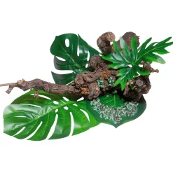 Pied De Vigne Nature-DecoWoerner Discount