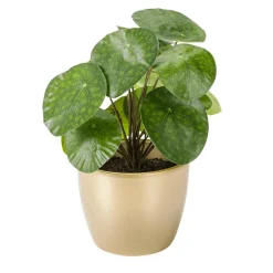 Pilea Artificiel Décoratif En Pot ,Plante à Crêpes 25 Cm-DecoWoerner Clearance