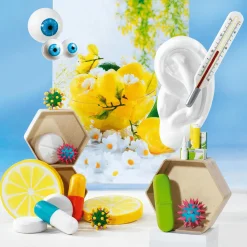 Pilule Déco, e-DecoWoerner Outlet