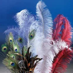Plume D'autruche he-DecoWoerner New