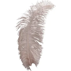 Plume D'autruche Poudre-DecoWoerner Sale