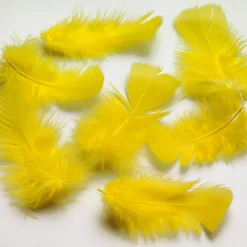 Plumes Déco s, 20 G-DecoWoerner