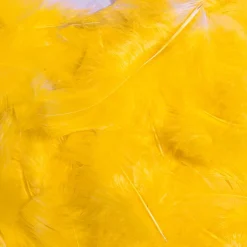 Plumes Déco s, 20 G-DecoWoerner