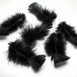 Plumes Déco es, 20 G-DecoWoerner Best
