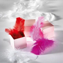 Plumes Déco s, 20 G-DecoWoerner