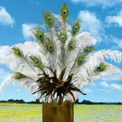 Plumes De Paon, 10 Pces-DecoWoerner New