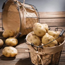 Pomme De Terre Aliment Factice 5 Pces-DecoWoerner Clearance