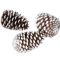 Pommes De Pin Déco 15 Cm 3 Pces-DecoWoerner Discount