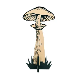Présentoir Champignon Naturel / Noir 20 X 39 Cm-DecoWoerner