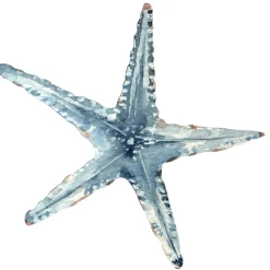 Présentoir étoile De Mer, 35 X 33 Cm-DecoWoerner Sale