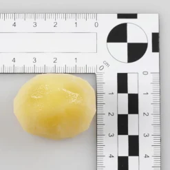 Quartiers De Pommes De Terre épluchées, 5 Pièces-DecoWoerner