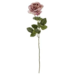 Artificielle, 68 Cm, Mauve-DecoWoerner Clearance