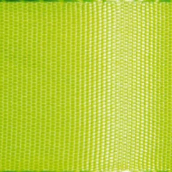 Ruban De Taffetas Avec Lisière Tissée 25 Mm, 50 M, Pomme-DecoWoerner Outlet