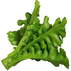 Ruccola Aliment Factice, Ø 16 Cm, 2 Pces-DecoWoerner Best