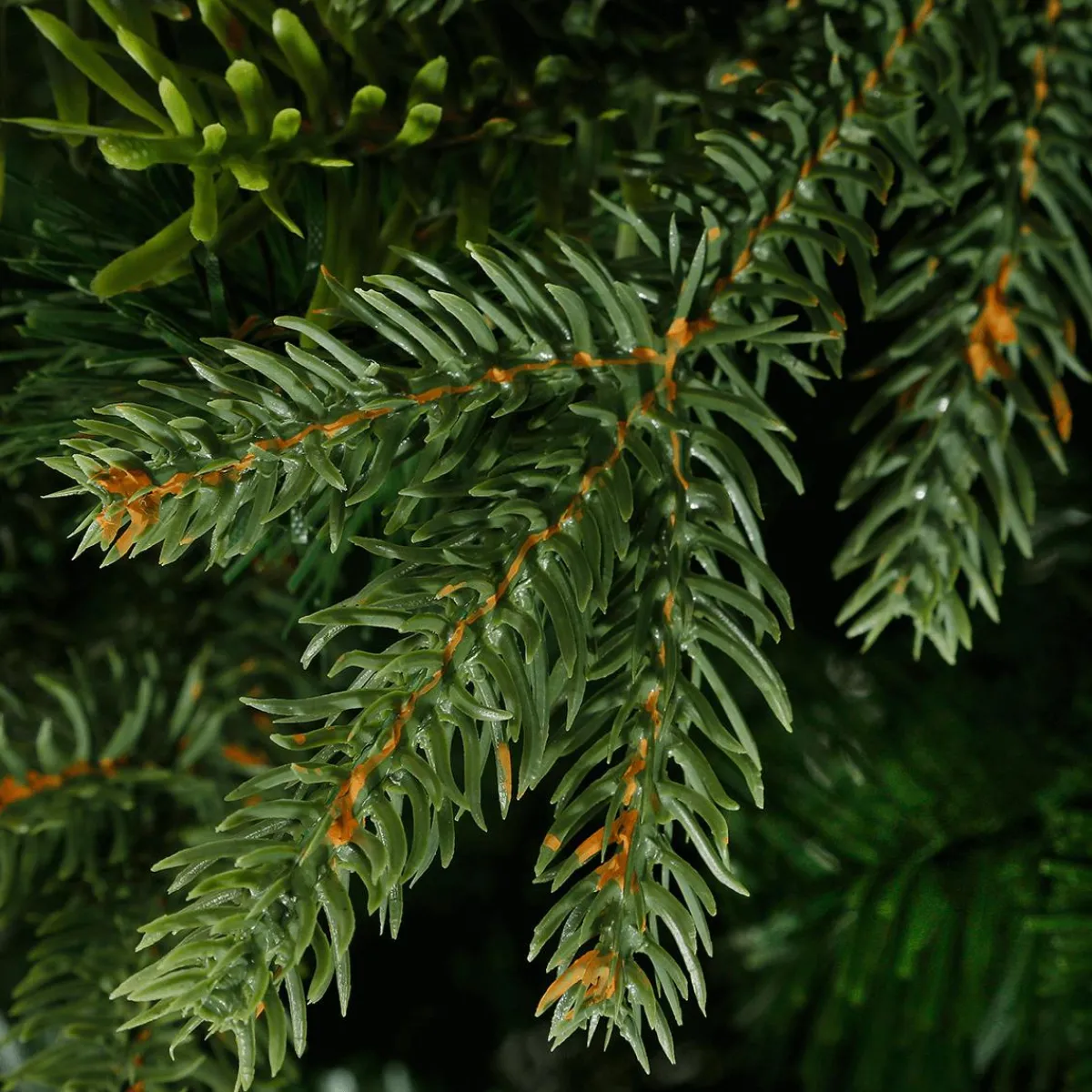 Sapin Artificiel Colorado 1,8 M-DecoWoerner Best