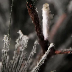Sapin De Noël Artificiel Suspendu Pin Avec Aiguilles Givrées Et LED 300 Cm-DecoWoerner