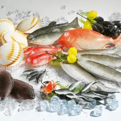 Sardines Alimentaires Factices, Paquet De 4 Pièces-DecoWoerner Clearance