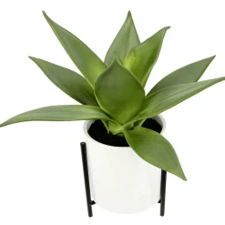 Succulente Artificielle En Pot Blanc 27 Cm-DecoWoerner Best
