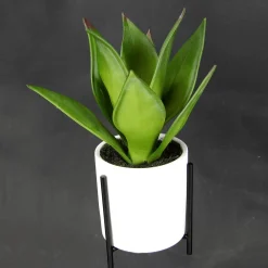 Succulente Artificielle En Pot Blanc 27 Cm-DecoWoerner Best